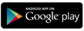 Google Play Purchase