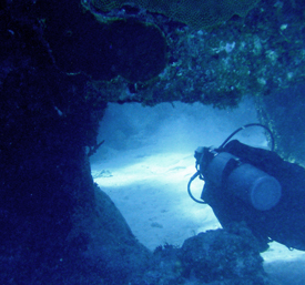 ScubaFit® Diver Instructors Directory