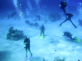 Scuba Dive Instructors Course