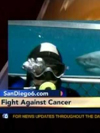 Cancer Survivors Scuba Dive with Sharks