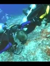 Scuba diving for military veterans